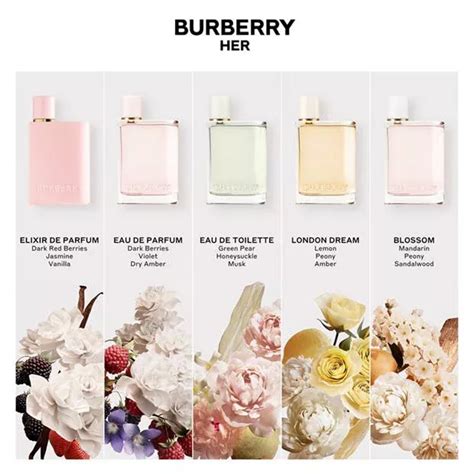 burberry her edp vs edt|Burberry Her smell like.